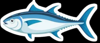 fishjin1